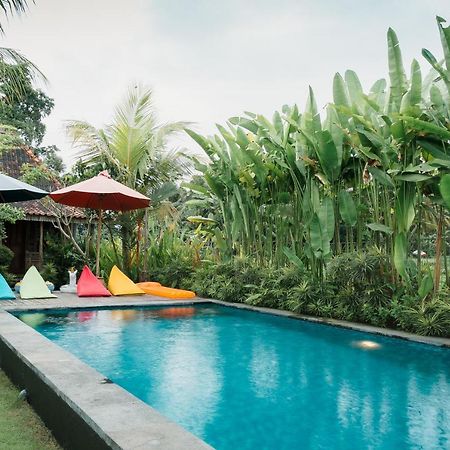 Nauna Villa Ubud מראה חיצוני תמונה