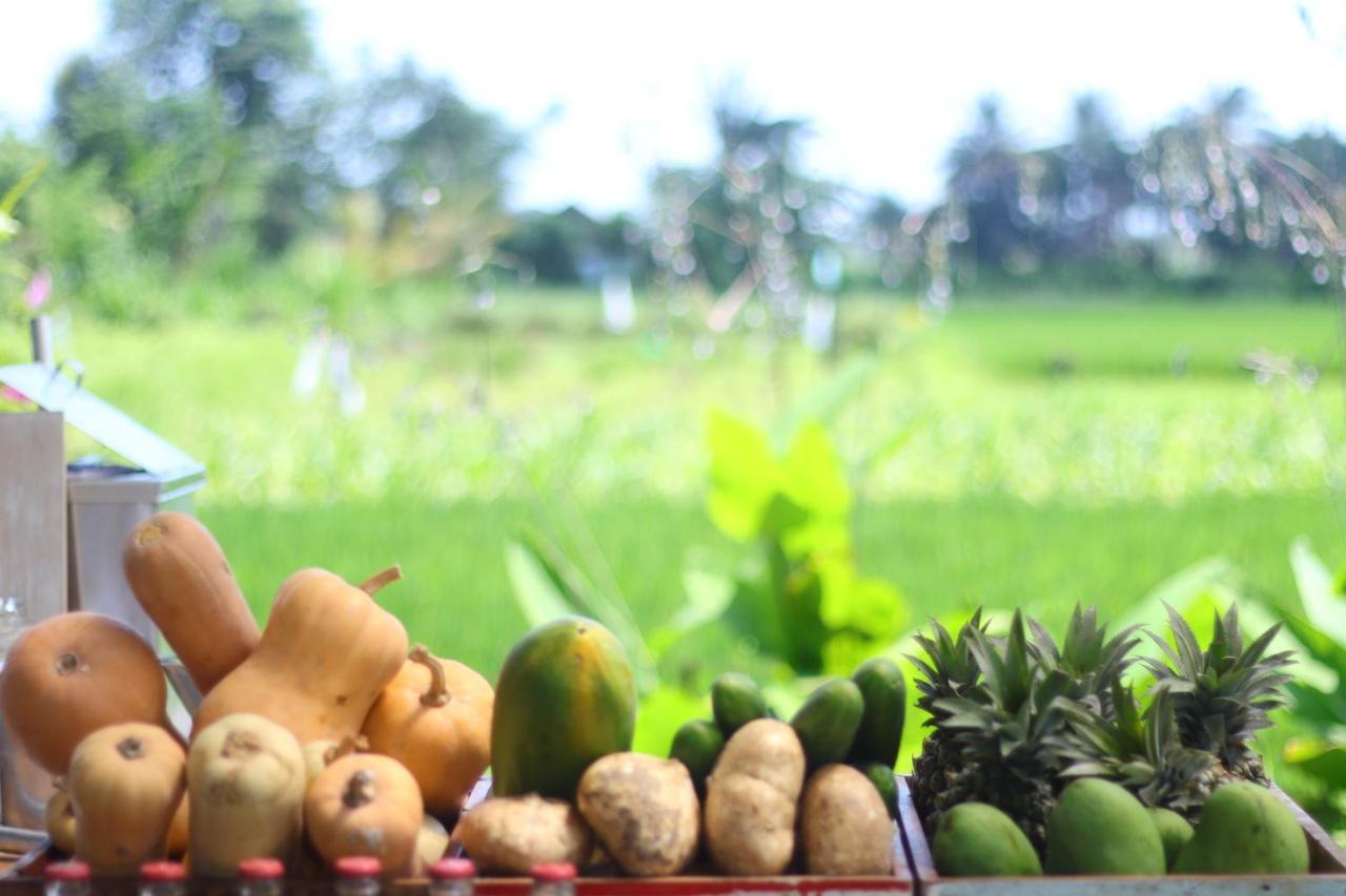 Nauna Villa Ubud מראה חיצוני תמונה