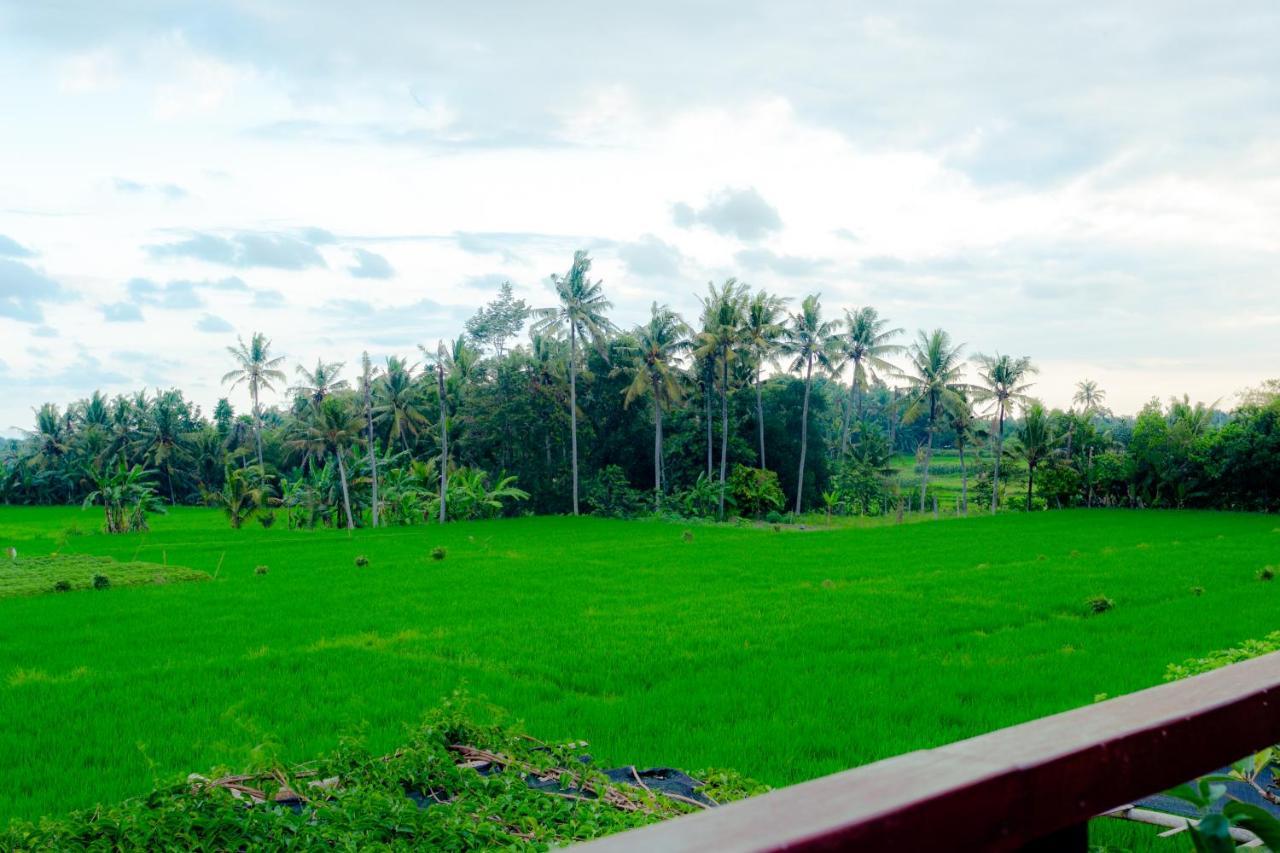 Nauna Villa Ubud מראה חיצוני תמונה