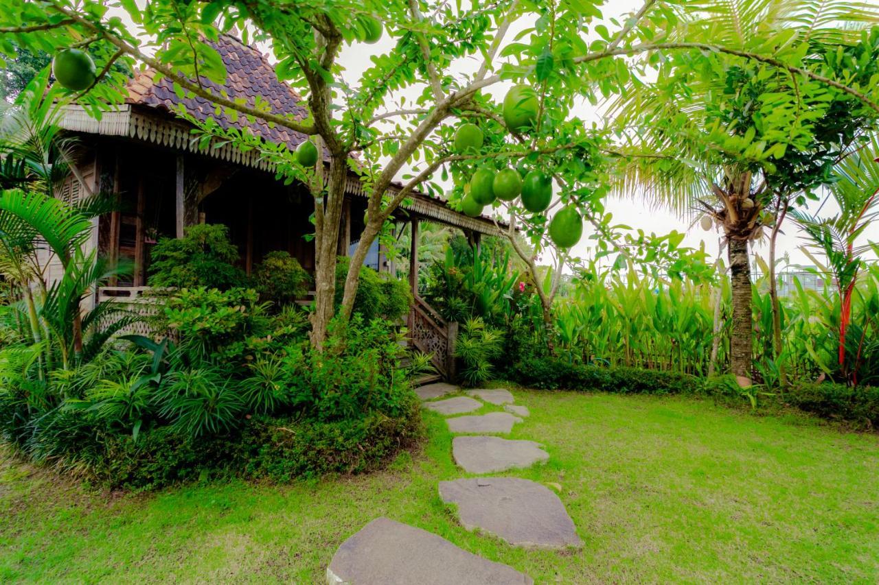 Nauna Villa Ubud מראה חיצוני תמונה