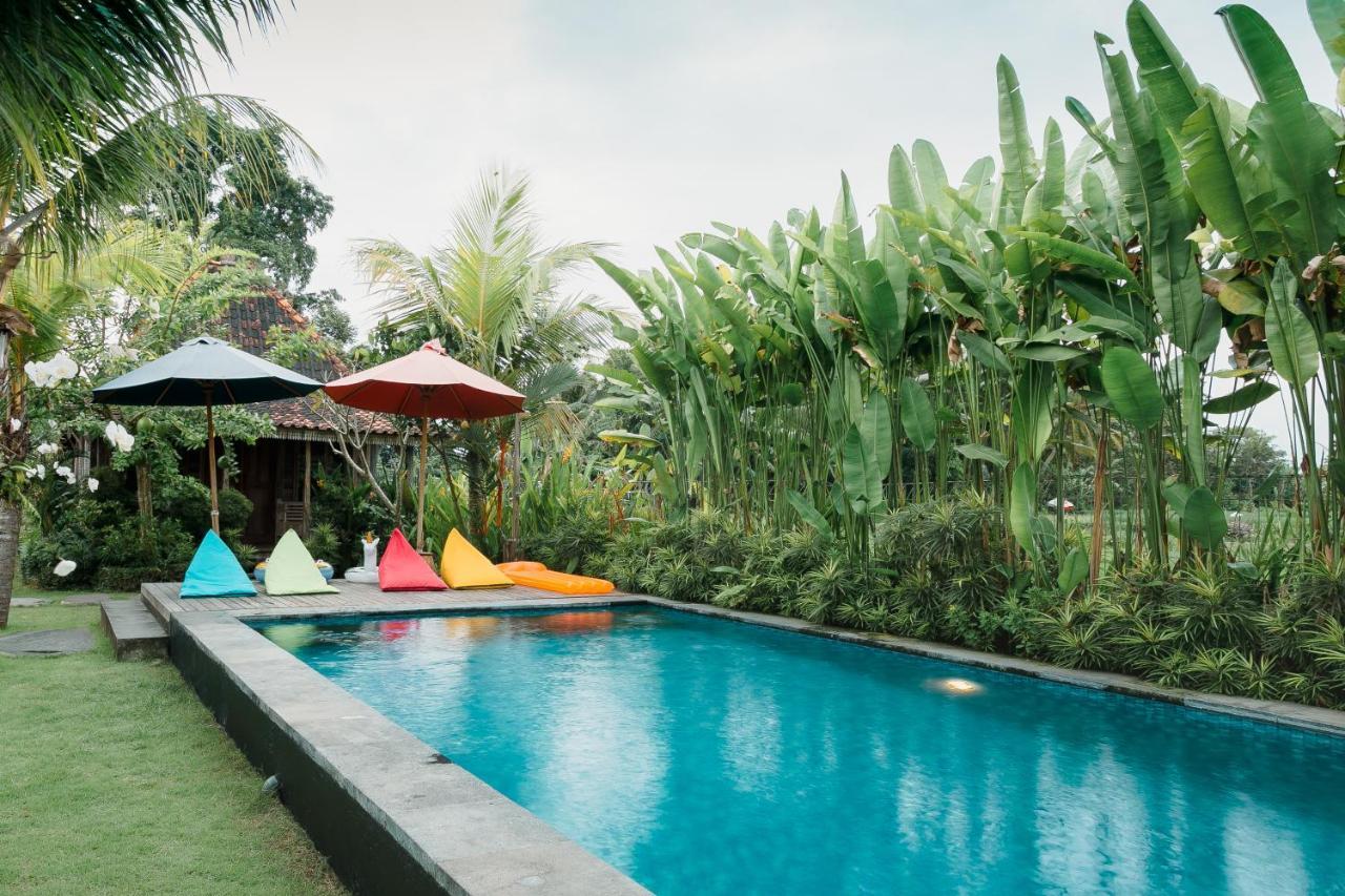 Nauna Villa Ubud מראה חיצוני תמונה
