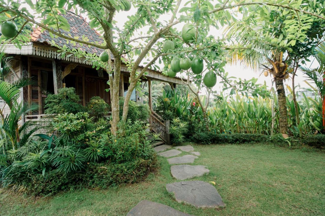 Nauna Villa Ubud מראה חיצוני תמונה