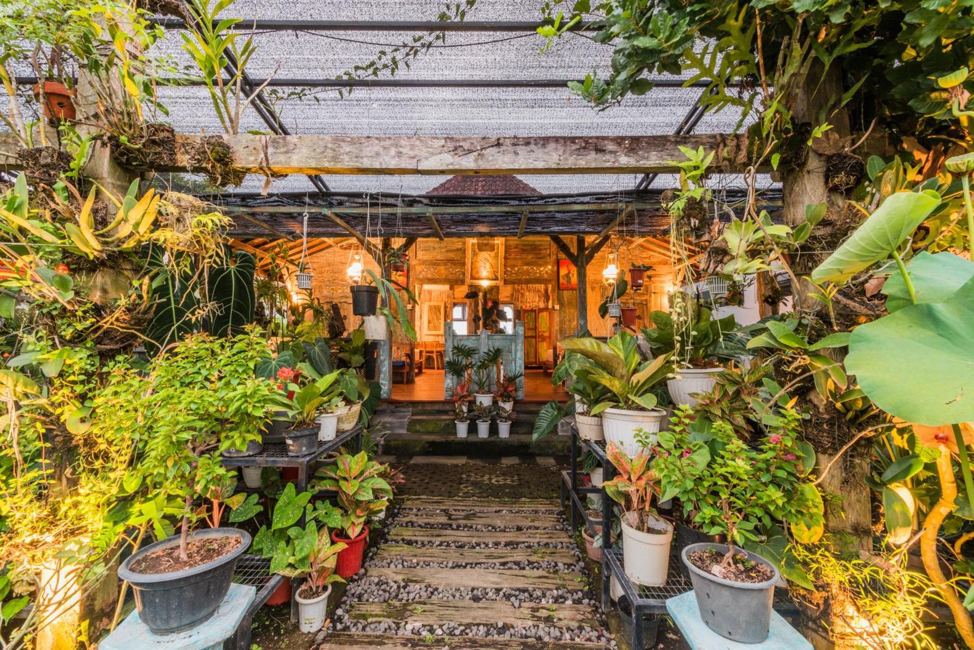 Nauna Villa Ubud מראה חיצוני תמונה